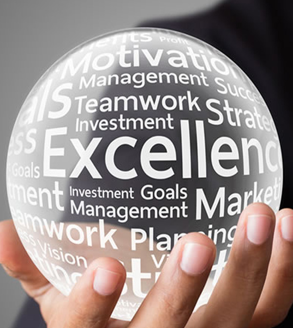 Professional Excellence